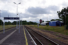 min 100 5.jpg min 100 5.jpg